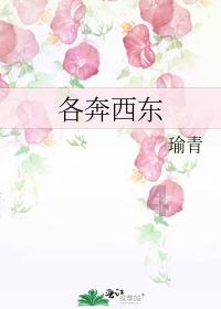县应急事务服务中心检查避难场所